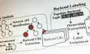 A portion of the process used by SkyWalker to vet backend systems that support mobile apps
