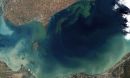 Lake Erie in October 2011, during an intense bloom of blue-green algae, or cyanobacteria.