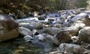 Photo of a stream with boulders in the streambed.