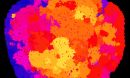 Digital organisms self-replicate with different fitness levels and fill empty spaces.