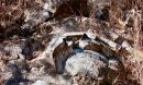 giant mounds of fossil stromatolites