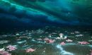 Sea stars gather around a microbial mat