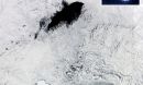 hole in the sea ice