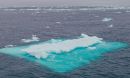 Arctic Ocean sea ice