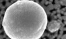 Microscopic images of bacteria