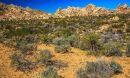 Mojave Desert