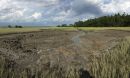 southeastern salt marsh