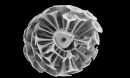 tiny algae called coccolithophores, this is Discosphaera tubifera