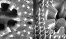 bionic skeleton