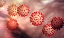 coronavirus particles