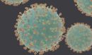coronavirus disease