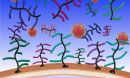 mucus and the coronavirus