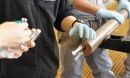 microbes collected from deep-sea sediment