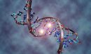 DNA molecule that is methylated on both strands