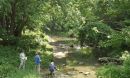 Water sampling in a Gwynns Falls stream