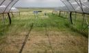 drought shelter