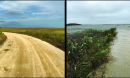 Edwin B. Forsythe National Wildlife Refuge