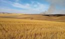 Researchers can assess soil health by measuring the electric current produced by its tiniest microbes.