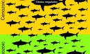 maximum sizes of non-planktivorous sharks in the Lamniformes