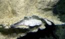 photo of flange on 18-story chimney