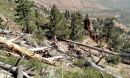 researchers conducted fieldwork in the eastern Sierra Nevada Mountains