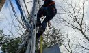 Scientist Daniel Obrist climbs a tower in Harvard Forest to measure mercury deposition.
