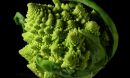 The fractal nature of Romanesco broccoli