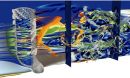 Hydrodynamic field inside and outside the skeletal structure of the Euplectella aspergillum glass sponge.