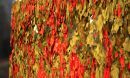 turbulent structures that form as a fluid proceeds through a channel rendered through ray tracing