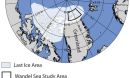 The Wandel Sea is inside what's known as the 'Last Ice Area' in the Arctic Ocean.