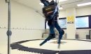 MABEL, a bipedal robot.