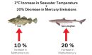 model of mercury emissions