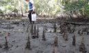 Daphne Fautin searches for new organisms while conducting a marine survey.