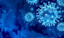Novel pooled testing strategies can more efficiently identify COVID-19 infections, study finds.