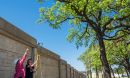 Researchers measuring black carbon captured by oak tree leaves