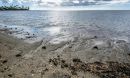 beach on Oahu