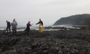 Scientists study the intertidal zone along Oregon shores.