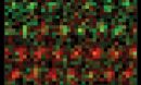 image of the atoms in a new material
