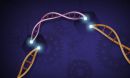 CRISPR Gene Editing