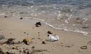 plastic pollution