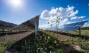 solar panels