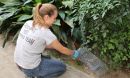 researcher setting a rat trap