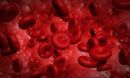 Scientists have found a new mechanism underlying red blood cell aging.