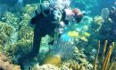 researcher Justin Baumann drills a coral core