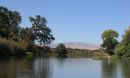 Riverbank woodlands along the lower Tuolumne River near Merced, California.