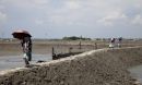 A new global database documents 40 years of change in Earth's rivers.