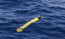 Robotic floats could provide important insights into ocean primary productivity.â¯