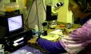 researcher in lab