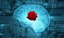 a brain with a rose