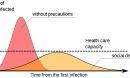 epidemic infographic
